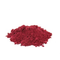Poudre de jus de grenade biologique lyophilisée en gros Faitury