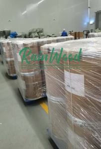 Extracto de Fruta de Kigelia Africana Natural al Mejor Precio de Rainwood, Polvo de Kigelia Africana - Product Image 4