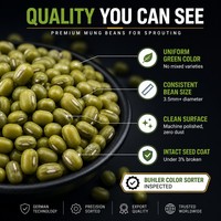Frijoles Mung (Vigna Radiata) |   Empaque Personalizado y Marca Privada |   Grado Alimenticio |   400g Envasado al Vacío |   Venta al por Mayor