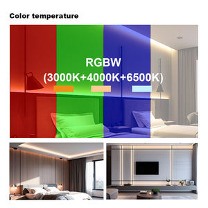 LED COB Inteligente de Cobre PERFECT, IP20 No Impermeable, Flexible, RGB+Blanco, 4 Colores, Alta Densidad, 784leds/m, 12mm de Ancho, Sin Puntos, DC24V - Product Image 5