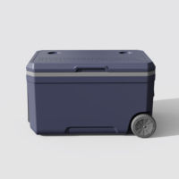 Offre Spéciale Prix Compétitif Randonnée Voyage Aspirateur Garder Au Froid Pêche Glacière Boîtes Avec Roue