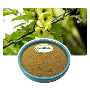 Healthife 10:1 Qing Qian Liu Roda Wingnut <span class=keywords><strong>Cyclocarya</strong></span> <span class=keywords><strong>Paliurus</strong></span> Folha Extrato Em Pó - Product Image 2