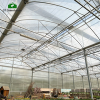 Serre en polycarbonate GT pour la construction de maisons, serre agricole en polycarbonate