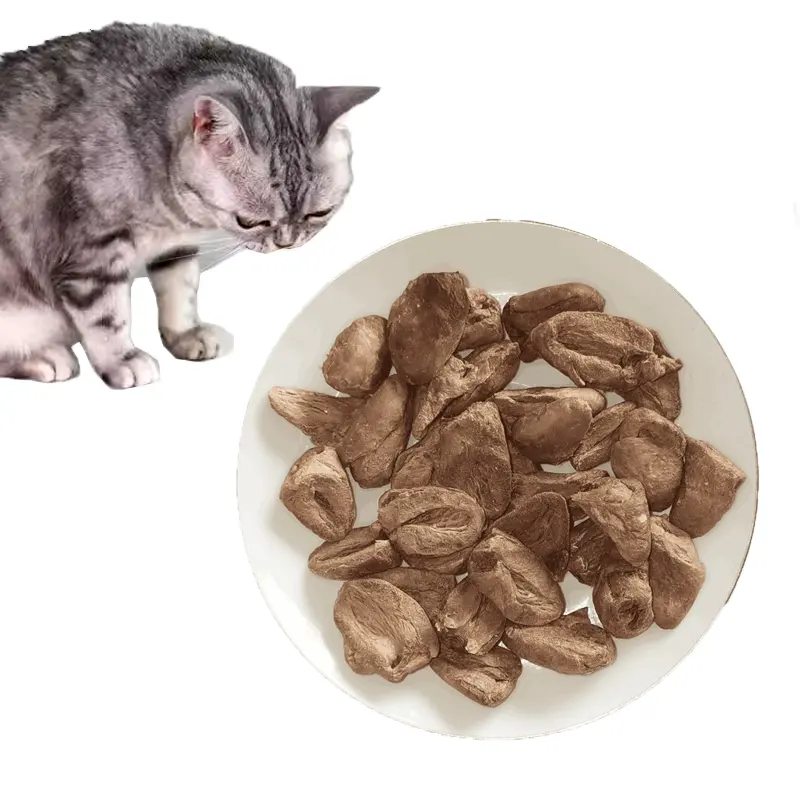 Sicurezza cuori di pollo liofilizzati sani OEM Dog Treat snack per gatti cibo per animali domestici carne secca di alta qualità