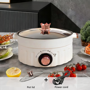 Olla Eléctrica y de Cocina de Alta Potencia de 800W y 2L de Capacidad, Revestimiento Antiadherente, Tapa de Vidrio Templado para Uso Doméstico, en Hoteles y al Aire Libre - Product Image 2