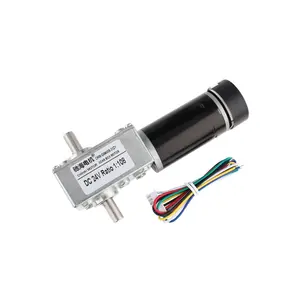 CHW-4058-3162 hohes Drehmoment 35kg.cm Doppel welle DC 12V DC Schnecken getriebe Untersetzung Elektromotor mit Encoder Für DC Staubsauger