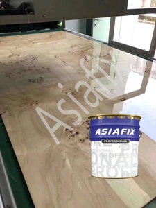 <span class=keywords><strong>Barniz</strong></span> de pintura UV de alta resistencia para tableros de <span class=keywords><strong>melamina</strong></span> y MDF - Product Image 5