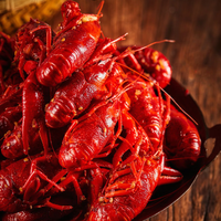 Écrevisses surgelées prêtes-à-manger en sauce épicée du Sichuan Écrevisses précuites à coque Mala IQF
