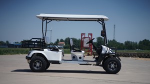 Productos Más Vendidos, Suministro de Alta Calidad, Carro de Golf de Cuatro Filas, Auto Clásico, Autobús Turístico - Product Image 6