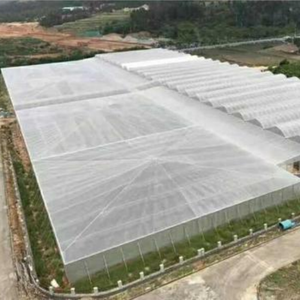 100% HDPE + UV Chống Lão Hóa Màu Xanh Lá Cây Bảo Vệ Môi Trường Nhựa Rào Cản Net Nông Nghiệp Trồng Fly Côn Trùng - Product Image 1