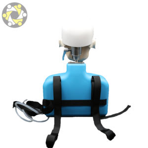 Simulatore di addestramento dentale per l'educazione medica, modello avanzato di pratica per l'insegnamento dei denti della testa e della spalla umana - Product Image 3