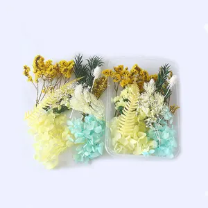 Handmade Crafts Real Natural Mixed Multiple Accessories Preserved Dried Flower Plant