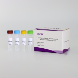 Độ nhạy cao huỳnh quang pcr <span class=keywords><strong>Kit</strong></span> cho cừu truyền nhiễm pleuropneumonia phát hiện - Product Image 1