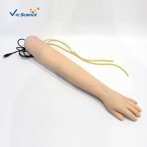 Geavanceerde Arm Bloeddrukmeting Trainingsmodel Voor Medische Wetenschap - Product Image 6