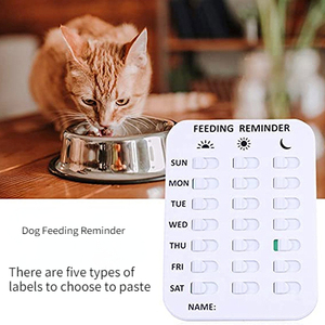 Recordatorio de alimentación para perros, pegatina de recordatorio magnético para prevenir sobrealimentación u obesidad, dispositivo rastreador montable - Product Image 5