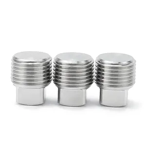 Accesorio de tubería de acero inoxidable 304 de alta calidad de METAL, enchufe de cabeza cuadrada sólida, <span class=keywords><strong>1</strong></span>/<span class=keywords><strong>2</strong></span>/3/4/6 NPT1 puntos/<span class=keywords><strong>2</strong></span> - Product Image 2