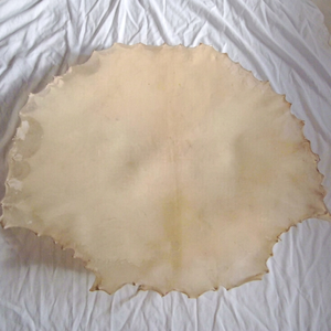 THISTLE ROSE ENTERPRISES Natural Vellum <b>Drum</b> Head Goat Skin Parchment Model TRE for Shamanic Frame <b>Drum</b> Musical Instrument - Product Image 1
