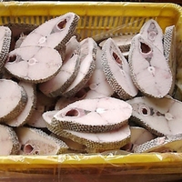 Poisson-Oilfish Filet congelé Poisson entier désossé Prises à l'état sauvage Portion de fruits de mer Bloc de longe Exportation Coupe de bifteck Fournisseur en gros