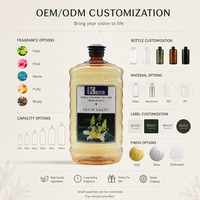 Huile de recharge pour lampe aromatique catalytique 2000 ml, parfum eucalyptus, liquide de combustion par allumage, diffuseur de parfum d'ambiance, désodorisant pour la maison