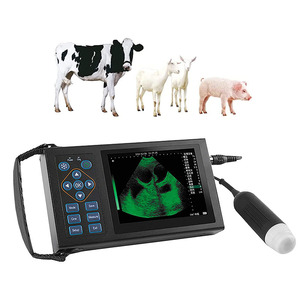 Escáner de Embarazo y Enfermedades Uterinas Portátil M10, Máquina de Ultrasonido Veterinaria Portátil - Product Image 1