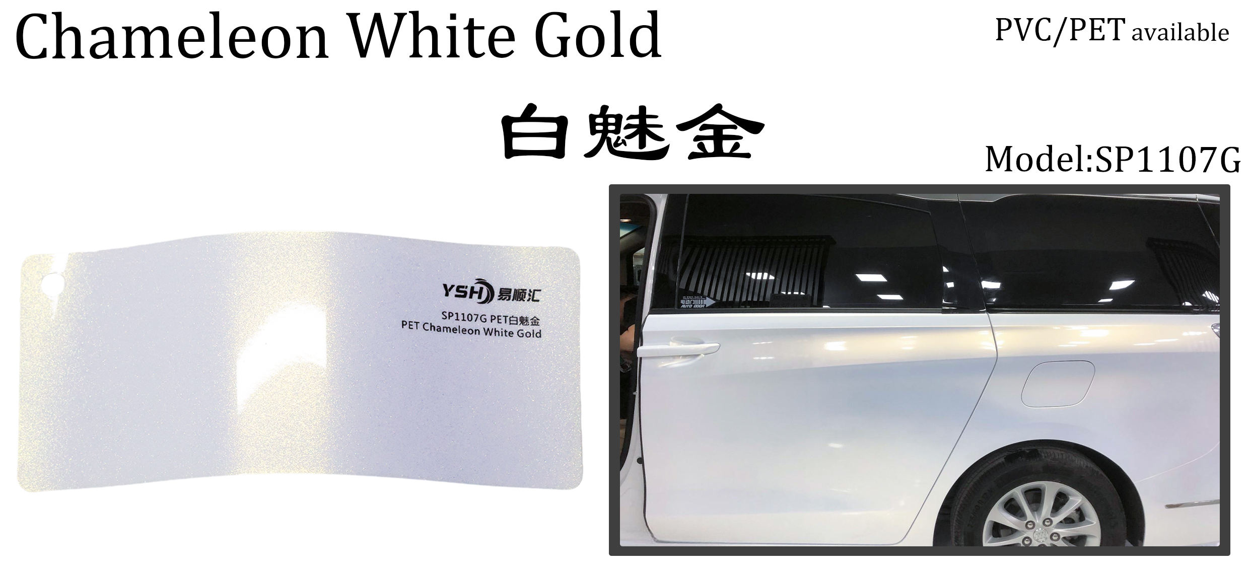 camaleón blanco dorado