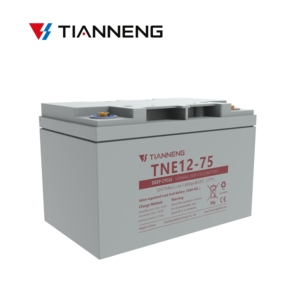 Tianneng 12-75 Deep Cycle Four-wheel <b>12v</b> 75ah Motive Lead Acid <b>Battery</b> - Product Image 2