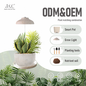 Lampu Tanam LED J&C Miniarden Charloe - Lampu Tanam Tanaman Umbrella Plant, Tinggi Dapat Diatur, Timer Otomatis - Warna Kayu Patte 2022 - Product Image 1