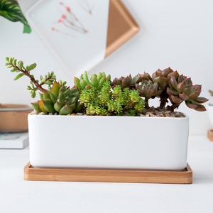 Décor <span class=keywords><strong>à</strong></span> la maison Bonsaï Pots <span class=keywords><strong>Blanc</strong></span> 6.7 Pouces Succulentes Cactus <span class=keywords><strong>Rectangulaire</strong></span> Jardinières En Céramique Avec Plateau En Bambou - Product Image 3