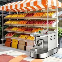 Groothandelsprijs Hoge Kwaliteit RVS Peer Kiwi Mango Citroen Appel Schiller/ Sinaasappel Citrus Mango Fruit Schilmachine