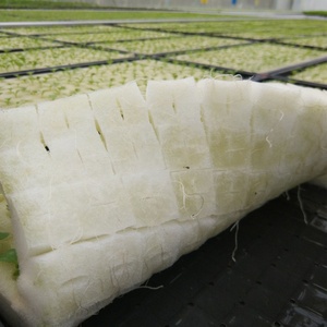 Cây Giống Trắng soilless THỦY CANH RAU Vườn Ươm chậu cây giống nhân bản cổ áo vườn trồng trọt miếng bọt biển - Product Image 6