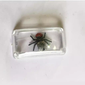 En stock: Juguetes de simulación de insectos de hielo enteros, moscas de cubitos de hielo, bichos blancos de cristal para broma, juguetes creativos transfronterizos - Product Image 1
