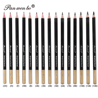 Ensemble de crayons à dessin en graphite standard Panwenbo Professional, 12 pièces, crayons à dessin pour artistes