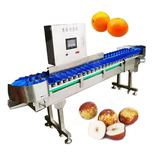 ORME Automatic Orange Fruit Sorter Live Scale Shrimp Fish Grader Machine