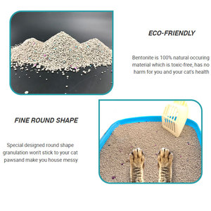 Vendita di lettiera per gatti in Bentonite di sodio profumata agglomerante di grado senza polvere per la pulizia degli animali domestici del gatto - Product Image 6