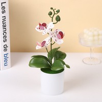 Plante artificielle de phalaenopsis bleue en pot pour le bureau, fleur simulée aux couleurs réalistes
