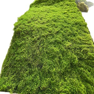 Taille moyenne simulé mousse flocage gazon pierre bonsaï décoration autocollant magnétique maison jardin mur artificiel plante verte haute - Product Image 5
