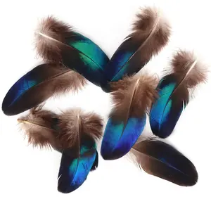 Venta barata alas de pavo real naturales pequeña pluma azul para fiesta de Carnaval sombrerería ramillete decoración DIY