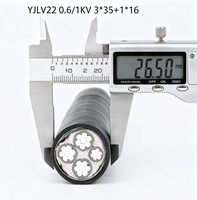 Câble d'alimentation blindé en acier avec gaine en PVC isolé en XLPE, aluminium, ZA YJLV22 0.6/1KV 3*35+1*16