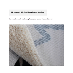 <span class=keywords><strong>Tappeto</strong></span> da <span class=keywords><strong>Bagno</strong></span> <span class=keywords><strong>Moderno</strong></span> in Poliestere Felpato, Antiscivolo, Spesso, per Ingresso, con Tappetino Assorbente, Motivo Originale, Lavabile - Product Image 6