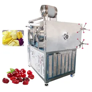 ORME Freeze Dryer Lyophilizer 60 Kg Dalle Cost Chamber 6 Kg/Batch Dry Machine for Fish Instant Coffee