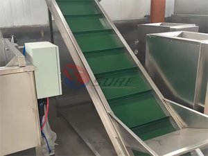 Línea de procesamiento de pelado de ajo de alta calidad a la venta - Product Image 4