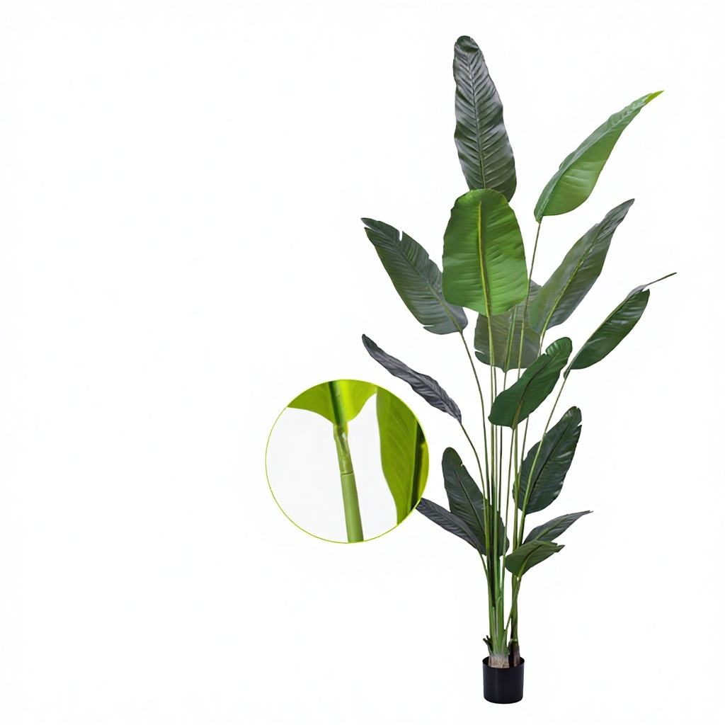 250cm traveler banana (13 leaves)green