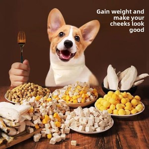 Friandises lyophilisées pour chats et chiens, riches en protéines, viande fraîche, livraison en 48 heures, saveurs personnalisées, en stock - Product Image 6