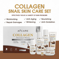 Coffret de Soins Sans Logo, Sans Parabène, Éclaircissant, Nourrissant et Bio à la Vitamine C et à la Bave d'Escargot, Vente en Gros