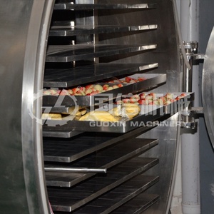 Équipement de lyophilisation sous vide professionnel directement de l'usine pour le séchage des oranges, des oranges navels et des oranges valenciennes - Product Image 5