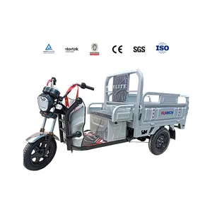 China&#39;s Hot-selling Digital Meter Electric 3-wheeler High-configuration Adult 3-wheel Bicycle Electric Car