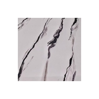 Panneau en mousse PVC de haute qualité, 3 mm, imperméable, imprimable UV - Design moderne pour la publicité extérieure et les affichages graphiques