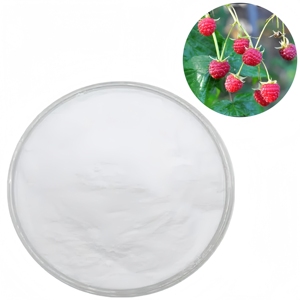 Precio al por Mayor de Cetonas de Frambuesa al 98% para Control de Peso, Extracto de Frambuesa en Polvo - Product Image 6