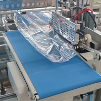 Machine d'emballage rétractable entièrement automatique/Machine d'emballage de joints latéraux pour plateaux, petites boîtes