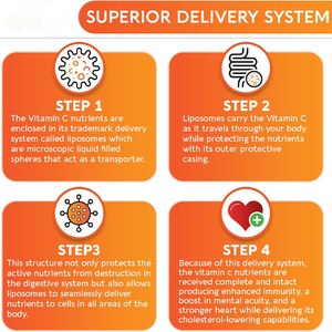 Suppléments vitaminiques VC liposomaux à absorption élevée de marque de distributeur OEM de capsule de vitamine C liposomale - Product Image 4